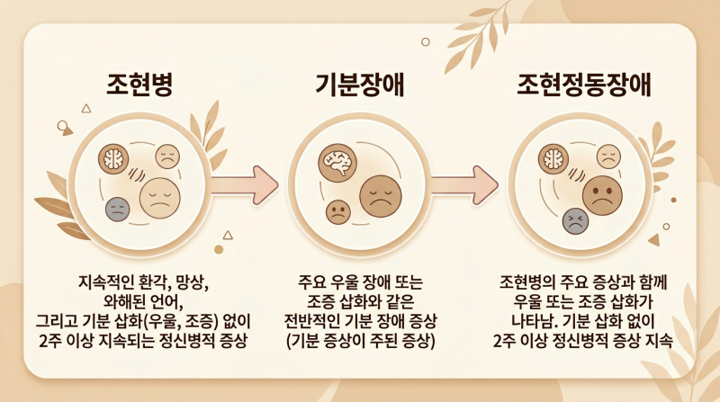 조현정동장애 감별 진단의 핵심 쟁점: 시간 기준과 증상 독립성에 대한 임상적 고찰