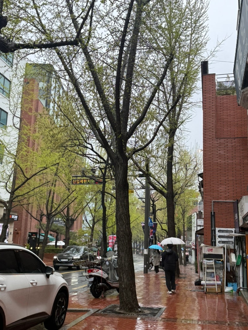 사진 6