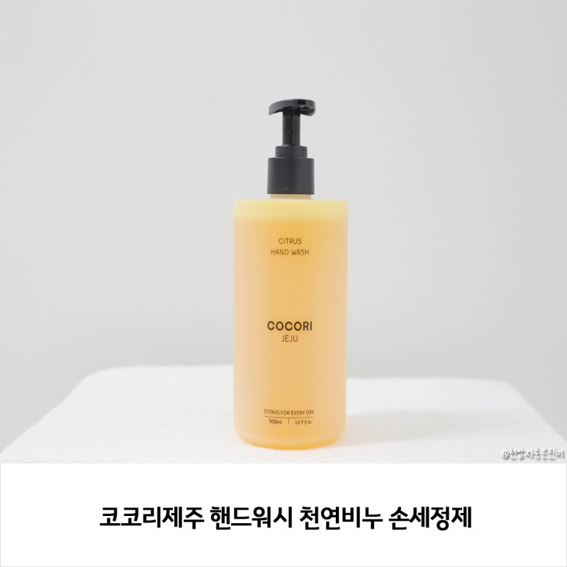사진 9