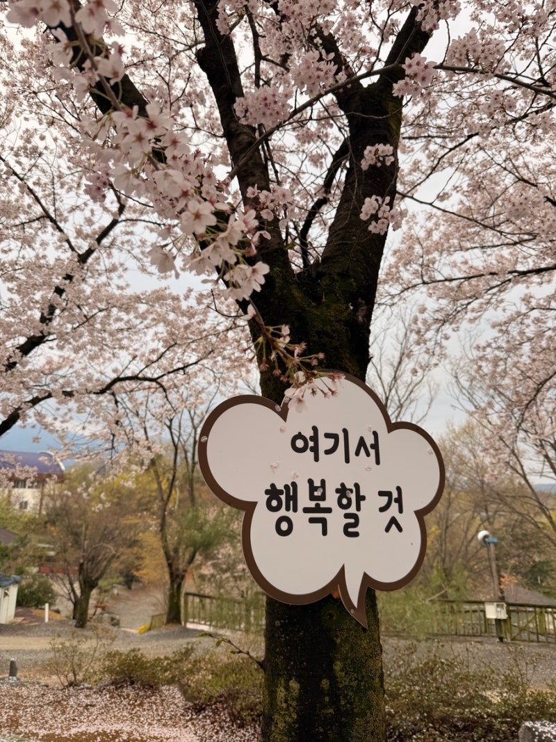 사진 5