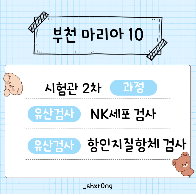 [마리아10]유산 후 시험관 언제 가능할까? NK세포와 항인지질항체 유산검사