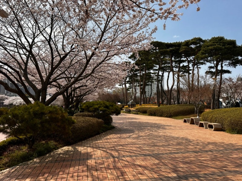 아파트 거실 창 외부 청소 | 로봇 청소기 대여 좋네! 단점은?