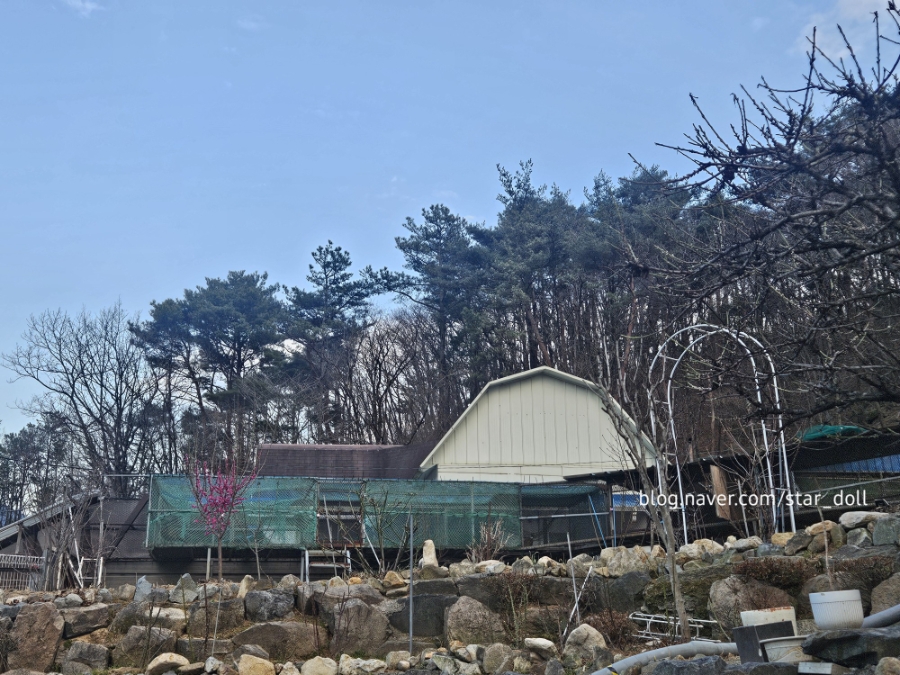 꿩먹고 알먹고 사진 1