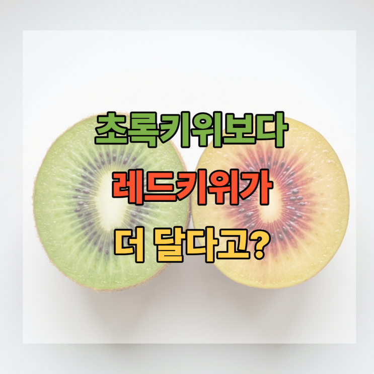  초록키위보다 더 달다고? 레드키위 제대로 알려드릴게요