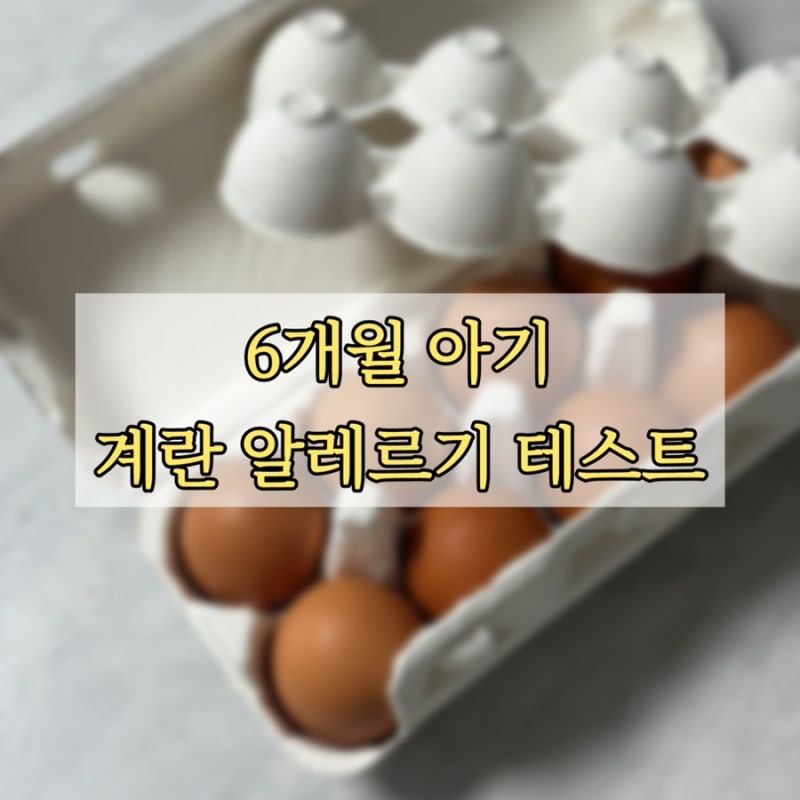 아기 계란 알레르기 테스트 방법 총정리 (시기·증상·주의사항)