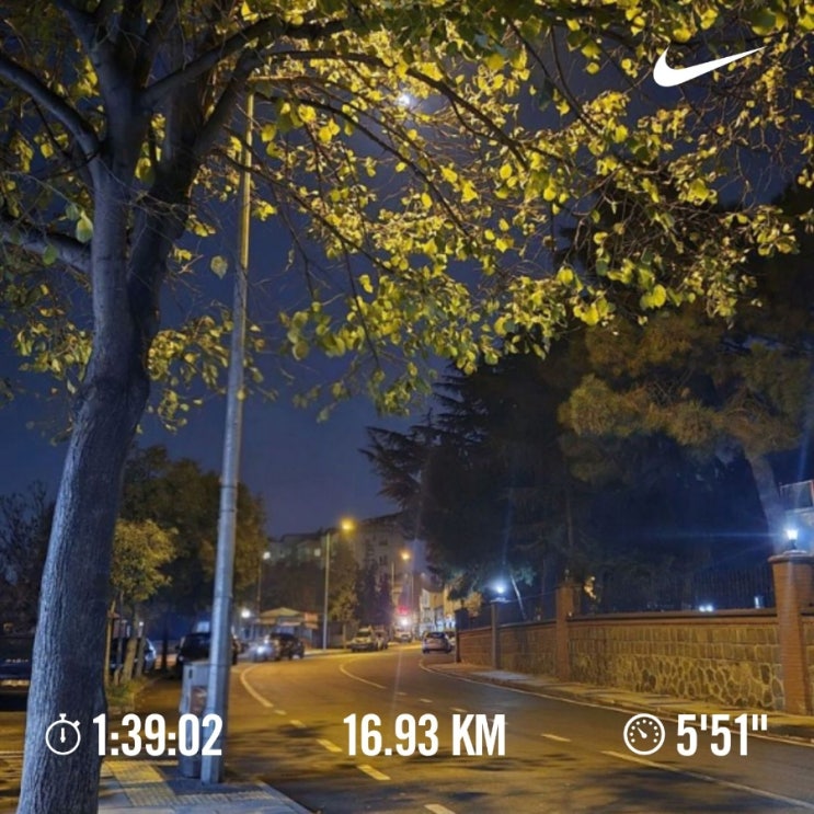 매일 러닝 달리기 조깅 챌린지 1706일차