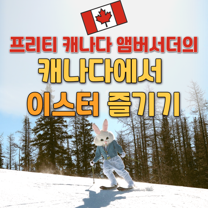  캐나다 일상 | 설산에서 즐기는 겨울 이스터  | 근데 네이버 해킹을 곁들인