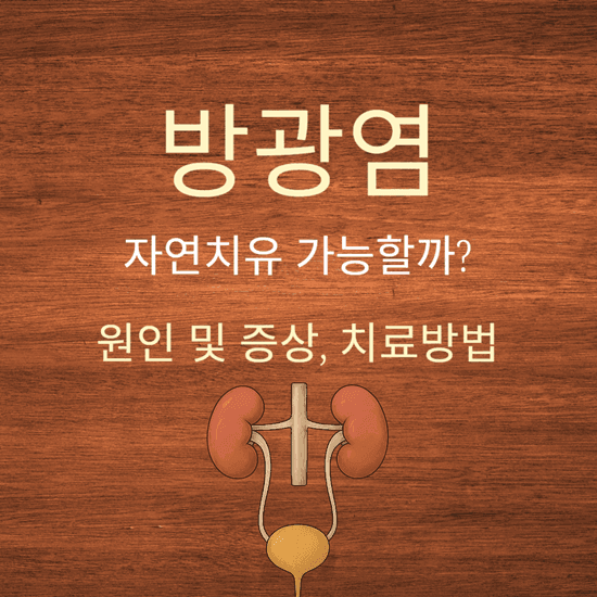 방광염 증상 및 원인, 자연치료 가능할까? 좋은 음식, 치료