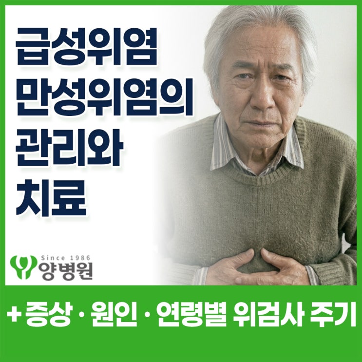 위염 증상과 치료 – 급성·만성 위염 원인과 속쓰림 관리 총정리