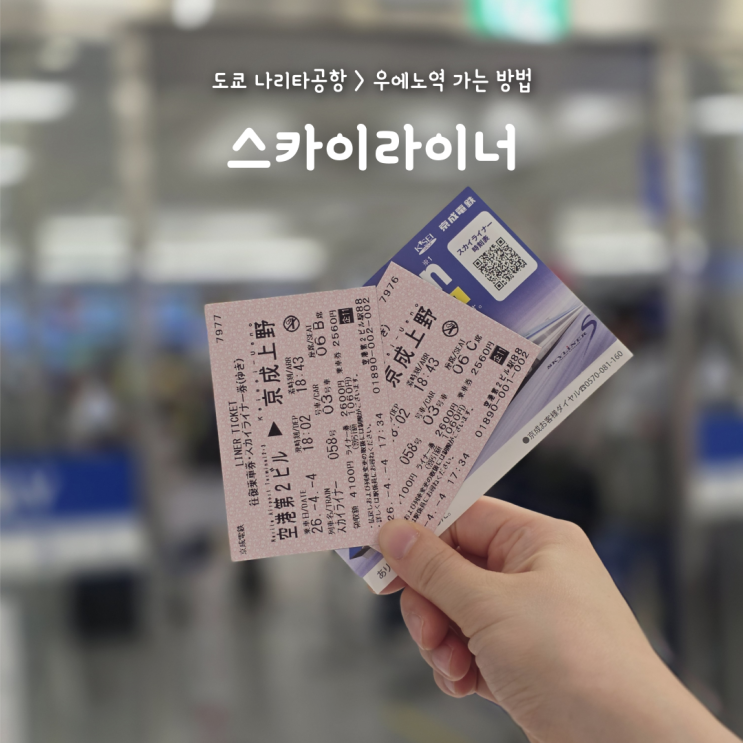  도쿄 나리타공항(3터미널)에서 우에노역 스카이라이너 타는 방법 총정리