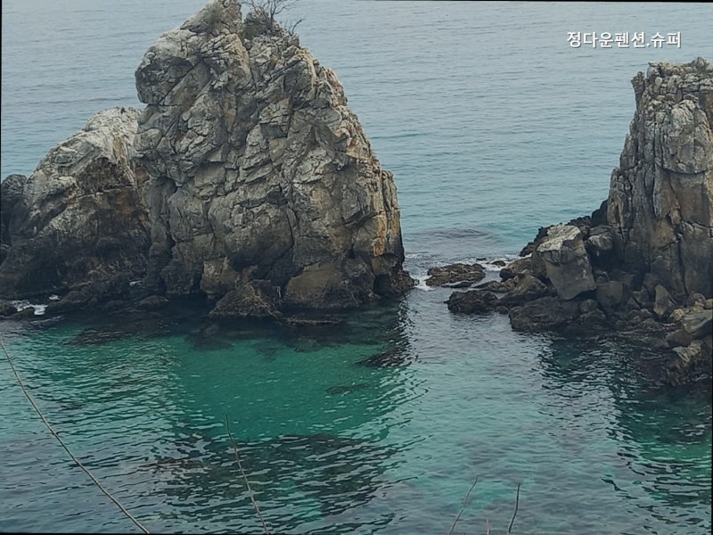 사진 2