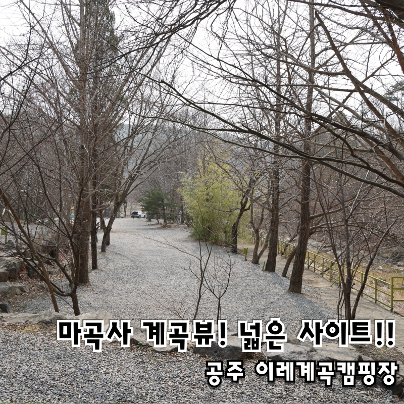 공주 계곡이레캠핑장 후기, 넓은 사이트와 계곡뷰 시원한 캠핑장