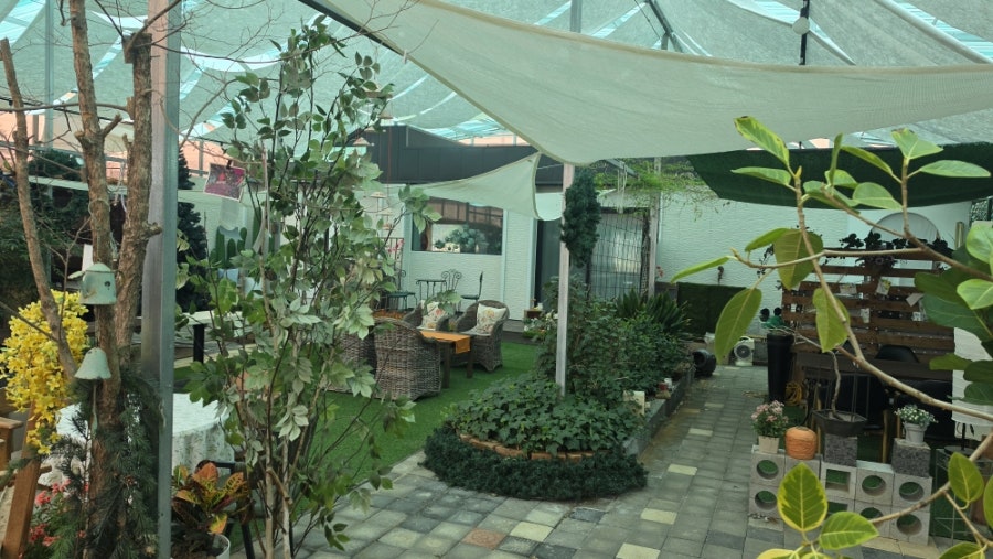사탕수수족욕카페 사진 5