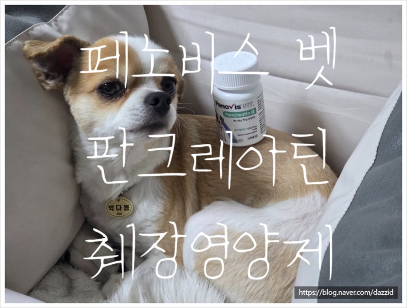 강아지췌장영양제 페노비스 벳 판크레아틴 췌장효소추천템 !