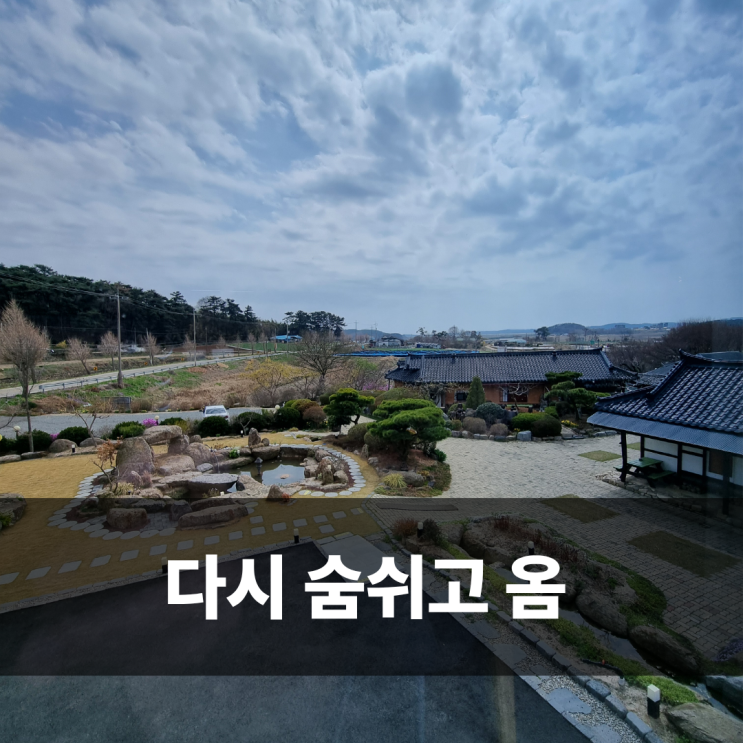  서산 풀빌라 리숨풀빌라 서산 자쿠지 펜션 후기