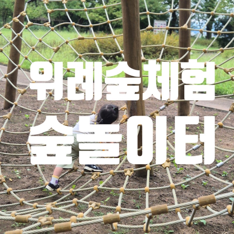 가을 숲체험, 위례근린공원유아숲체험원, 남한산성둘레길 숲체험, 위례 숲놀이터 후기｜5세 ....