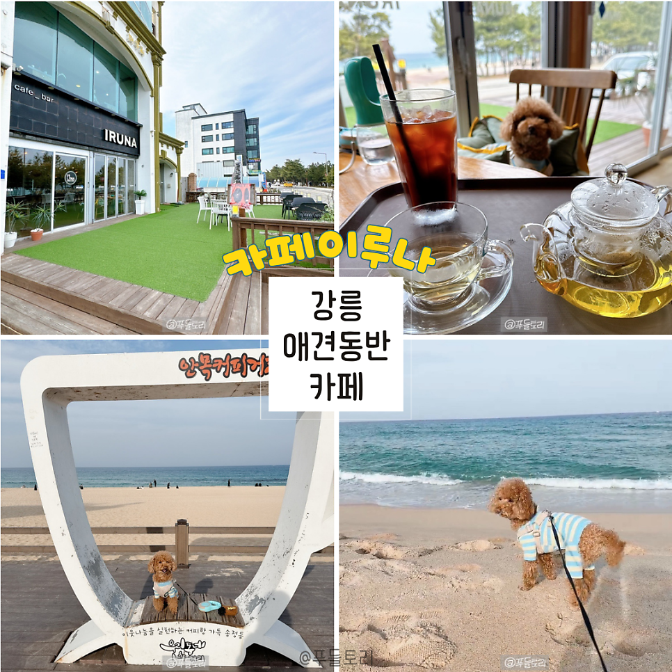 카페 이루나 사진 1