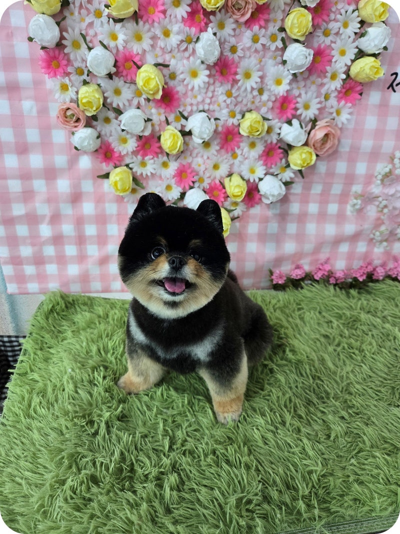 사진 5