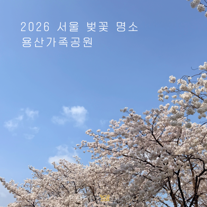 사진 3