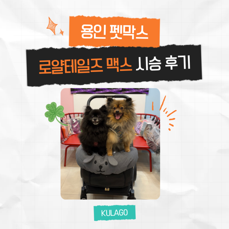 강아지 유모차 추천 로얄테일즈 맥스 시승 후기 – 펫막스에서 직접 비교해봤어요