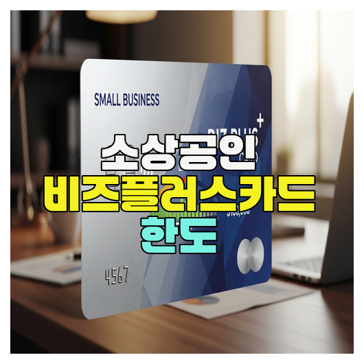  소상공인 비즈플러스카드 한도 총정리