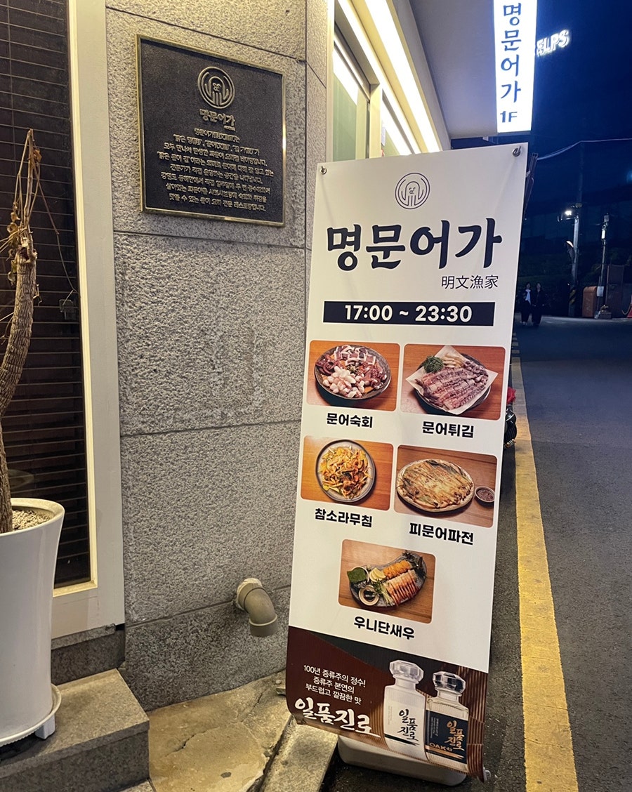 명문어가 사진 4