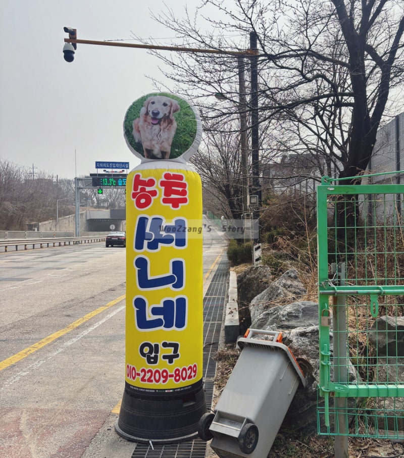 사진 6