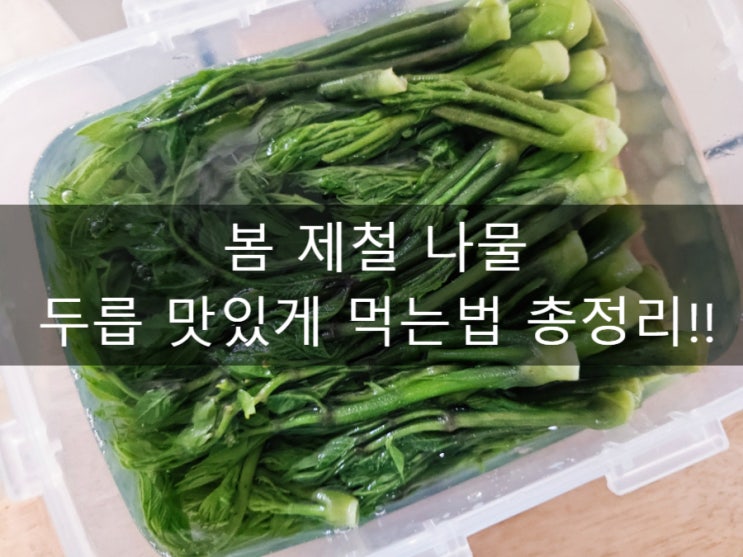  두릅 먹는법 총정리 / 제철 효능 요리