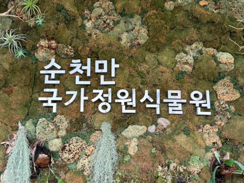 순천 가볼만한곳 순천만국가정원 4월 튤립 입장료 할인 지도 동선 꿀팁 총정리
