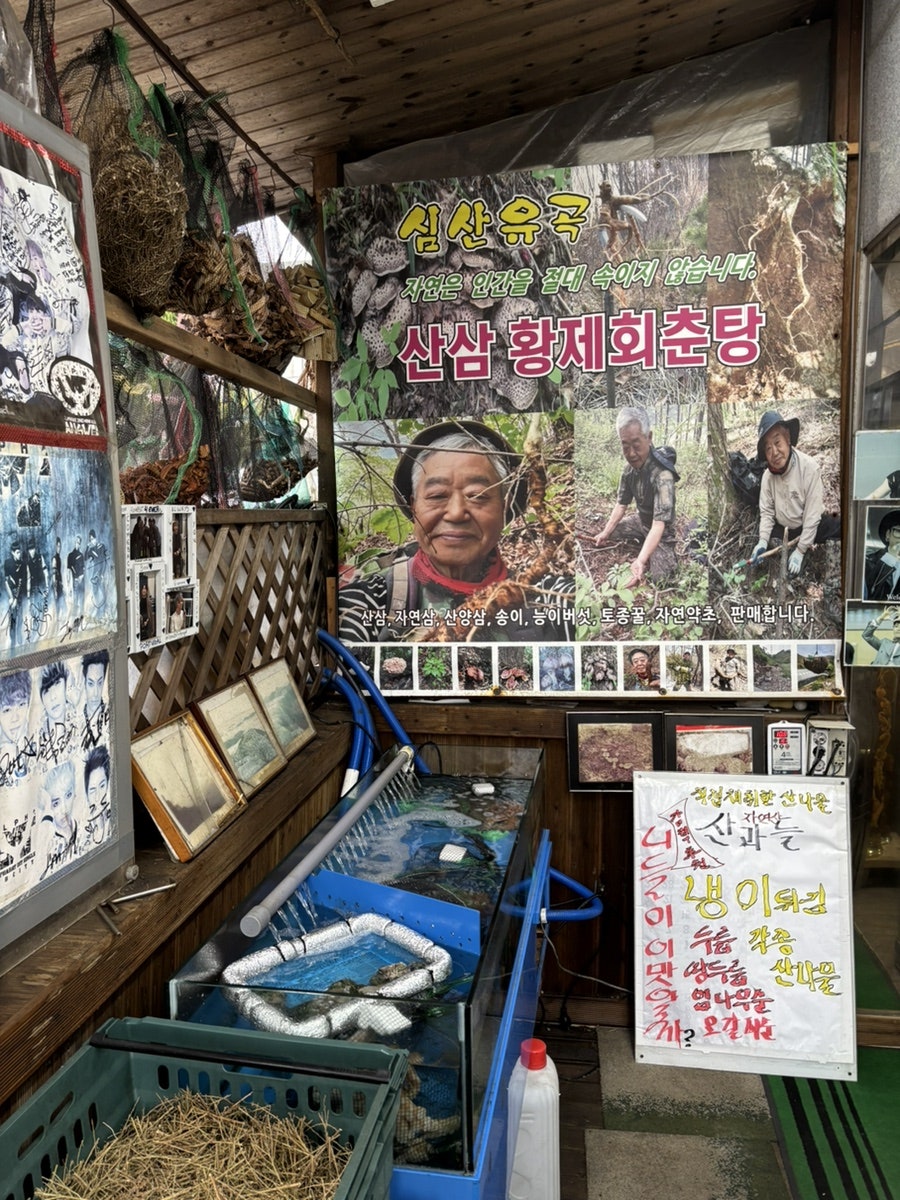 느티나무봉덕이네 사진 1