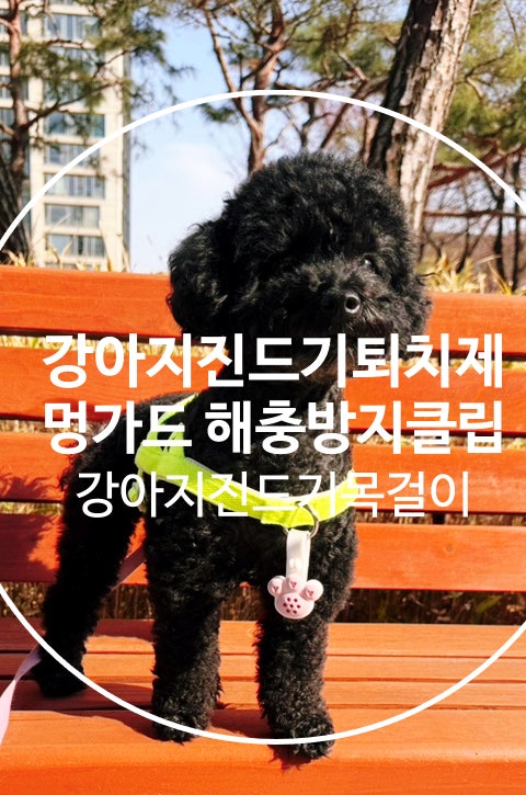  강아지진드기퇴치제추천 멍가드 해충방지클립으로 모기예방까지 가능한 진드기목걸이 사용찐후기