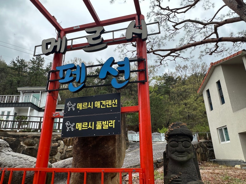 사진 15