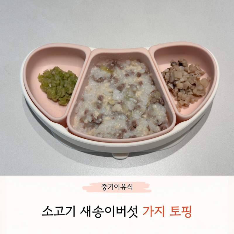 중기 가지 이유식 큐브 만들기 조합 손질 토핑