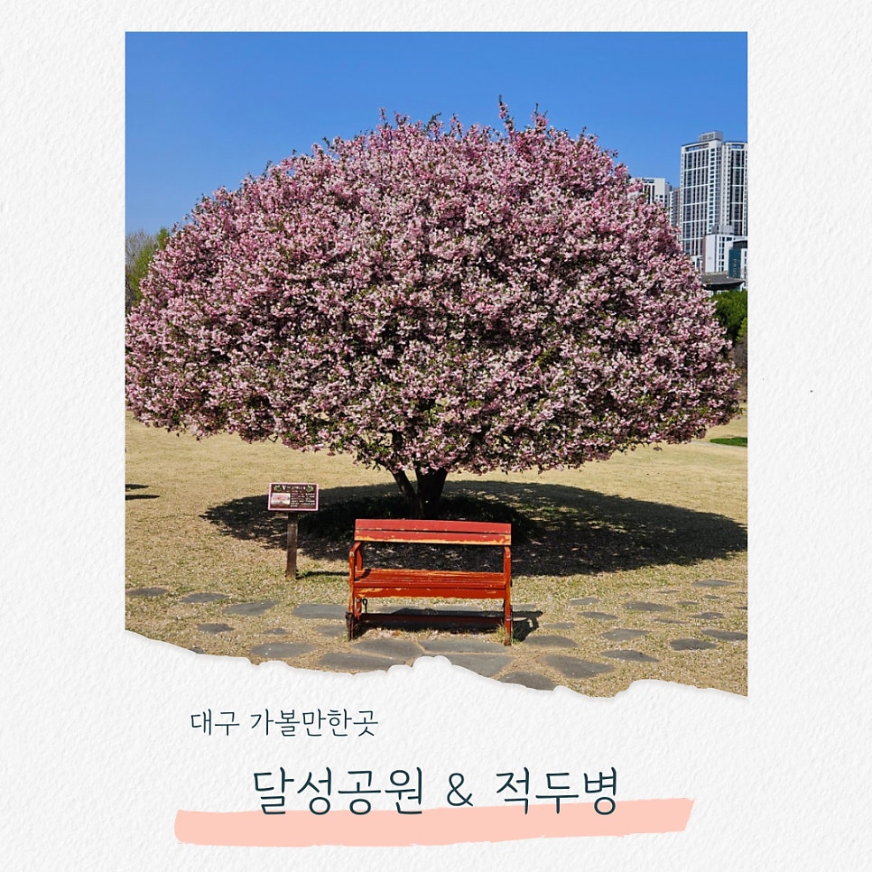 적두병 사진 1
