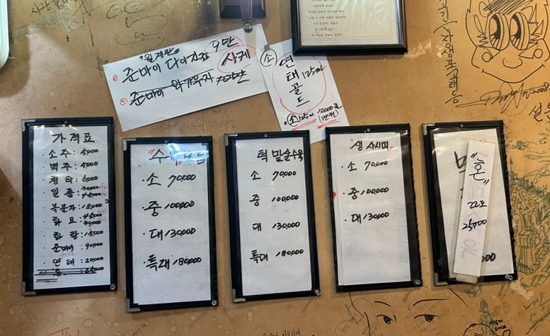 고래등 사진 3