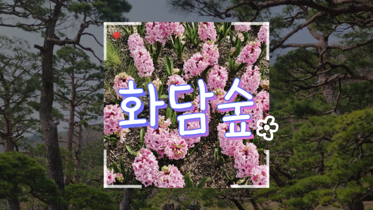  [곤지암] 언제가야 제일 좋을까? 볼거리가득 화담숲