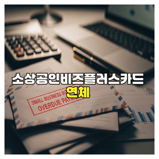  소상공인비즈플러스카드 연체 관리 핵심정리
