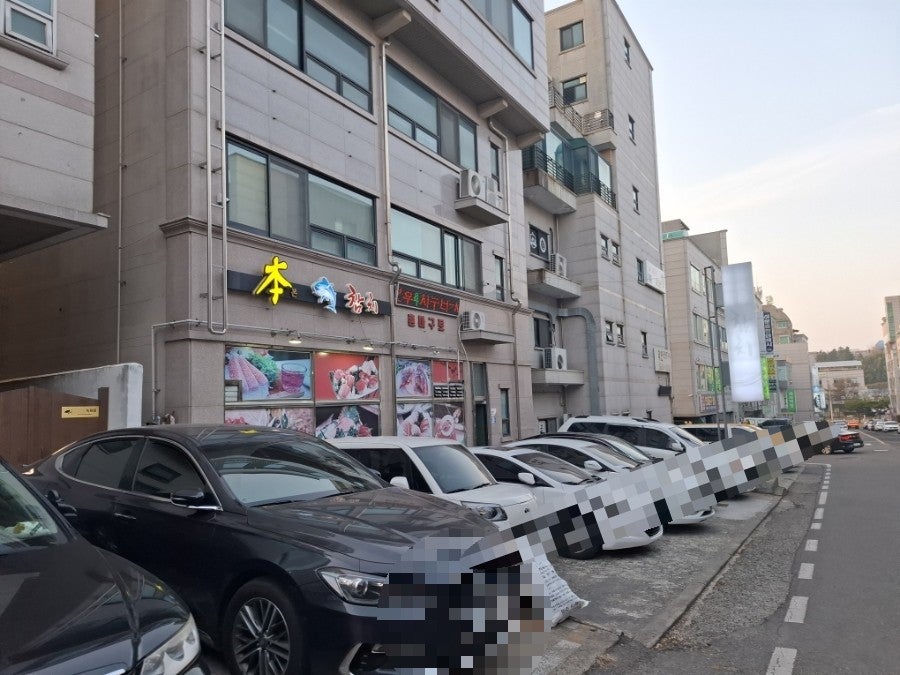 본참치 사진 4