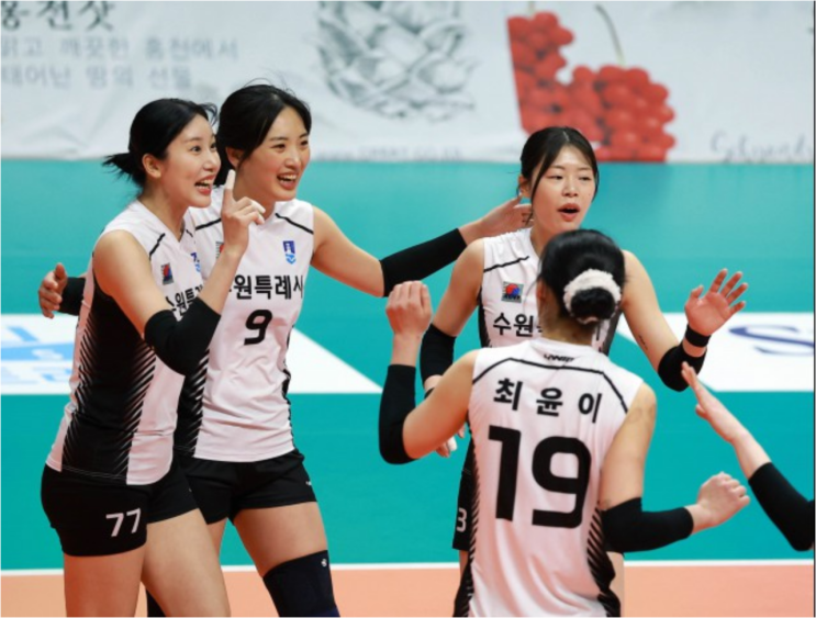  박현주부터 원더독스까지... 홍천 실업대회서 다시 쓰는 '배구 인생 2막' 시나리오