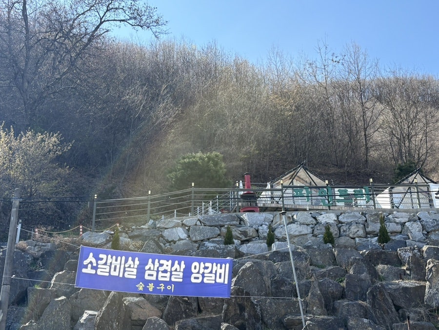 파인트리 사진 5