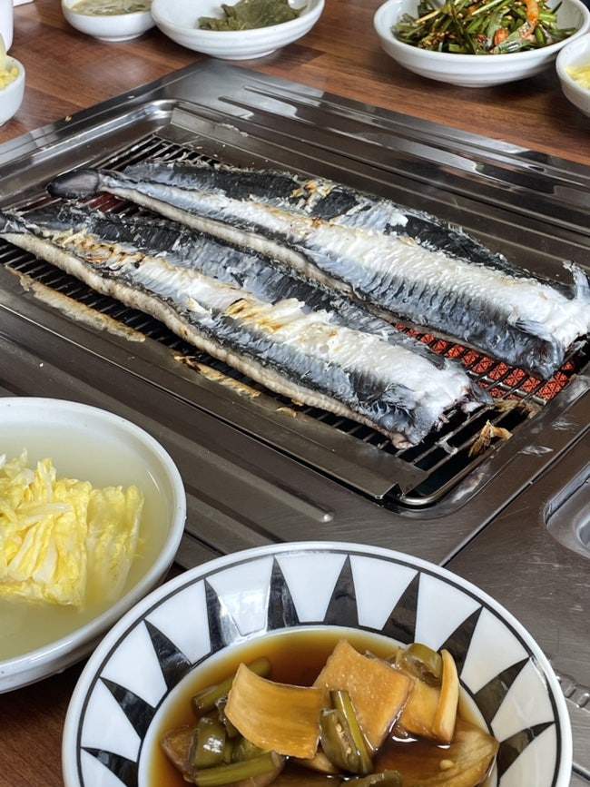 솔토장어 사진 5