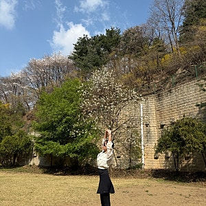 안다르 치마레깅스 슬림해 보이는 편안한 레깅스를 찾는다면 안다르 8.2부 플레어 치마 레깅....