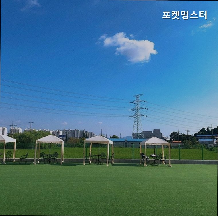 사진 6