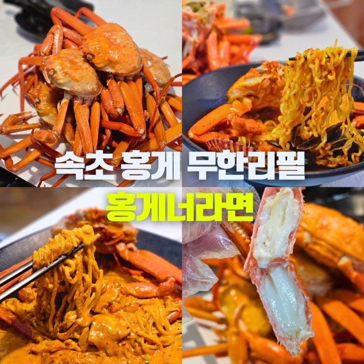  속초 홍게 무한리필 동명항 오징어난전 중앙시장 가성비 홍게라면 맛집 위치