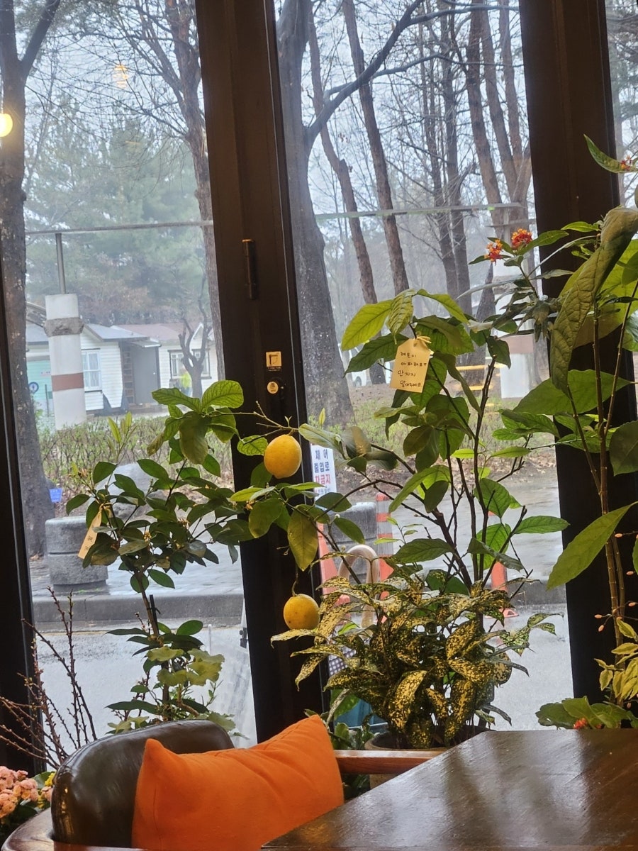 노스탤지아 사진 4