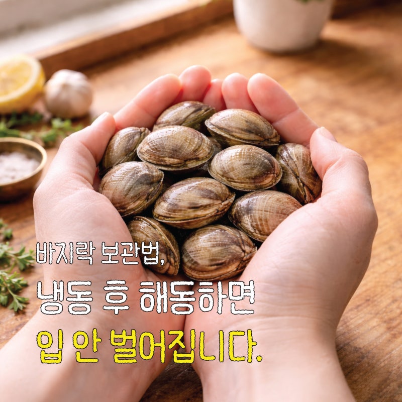 바지락 보관법, 이 실수 하나로 조개가 끝까지 안 벌어집니다. (해감방법, 시간, 깐 바지락 보....