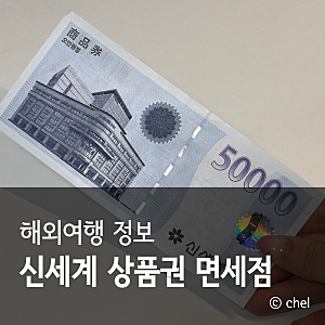 신세계 상품권 인터넷 면세점 사용처 온라인 방법