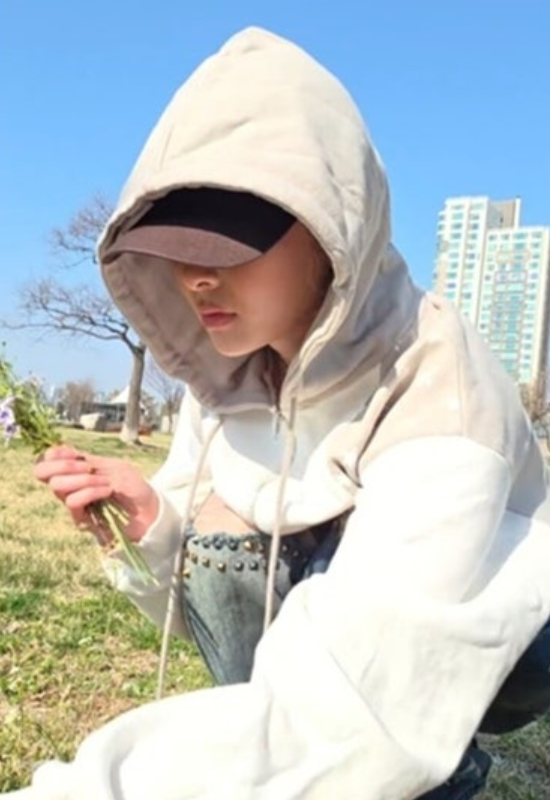   르세라핌 허윤진 한강 라이브 중 꽃 꺾기 논란... "몰랐다" 즉각 사과에도 엇갈린 시선