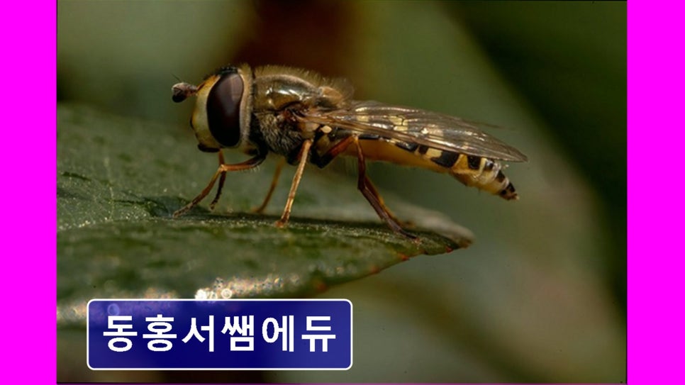 동홍서쌤에듀 사진 5