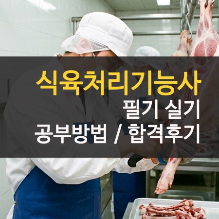 식육처리기능사 필기 실기 합격 후기 독학 꿀팁